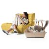 Disposable Litter Boxes Qingdao Zeyu Low Entry Paper-2