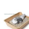 Disposable Litter Boxes Qingdao Zeyu Low Entry Paper-4